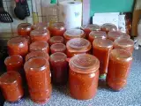 Rezept Tomatensosse selbst gemacht