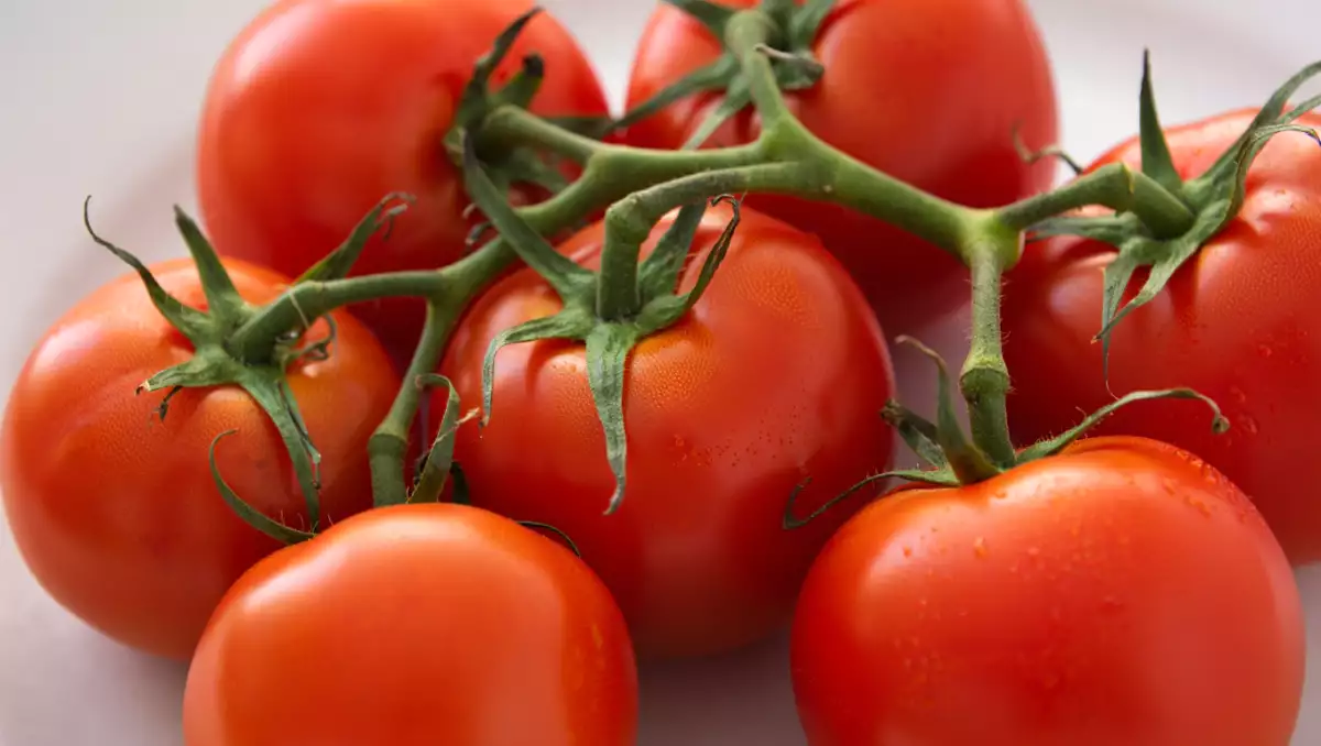 Die Tomate: Wie kann man sie mit diesen 8 Rezepten über den einfachen Salat hinaus verfeinern?