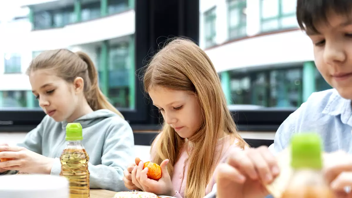 Der beliebteste Fisch auf den Schulmenüs, in Frankreich wegen seiner Toxizität verboten
