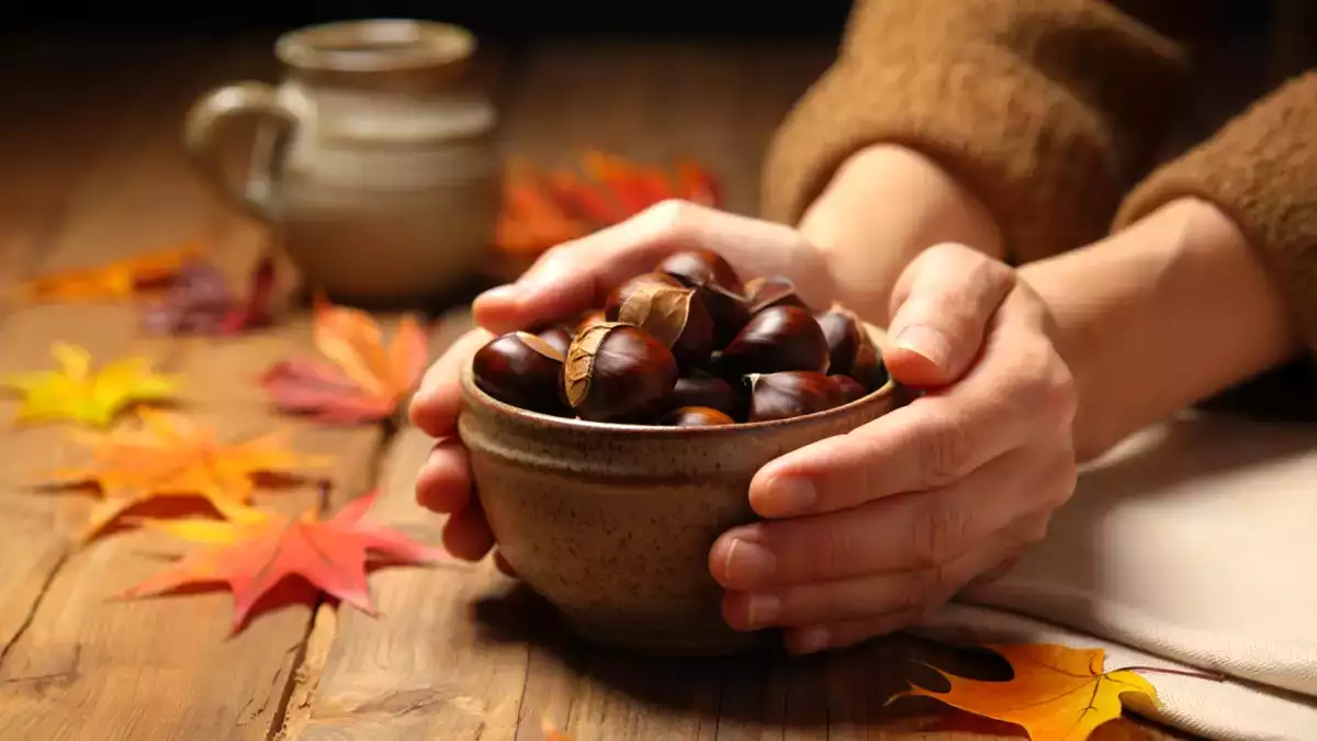 Sind Kastanien Dickmacher? Was Ernährungswissenschaftler wirklich sagen