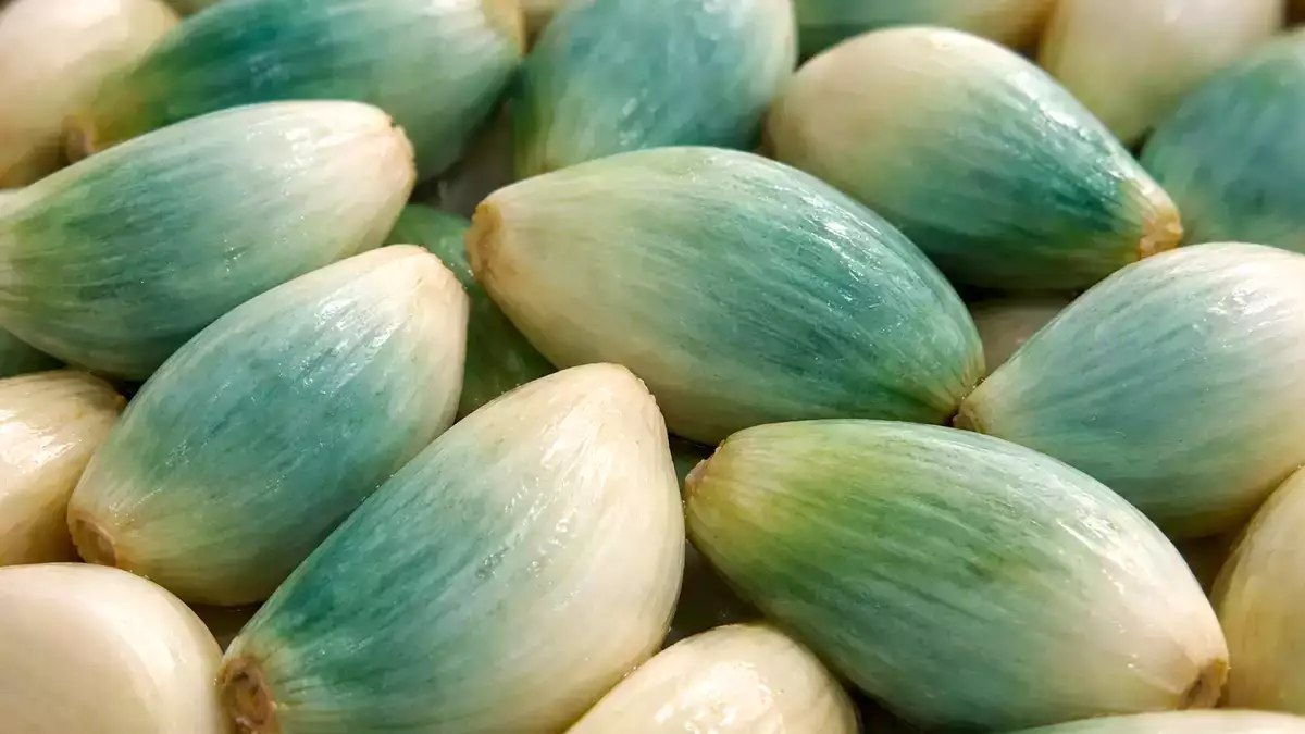 Grüner oder blauer Knoblauch in Ihrer Küche? Viele Menschen werfen ihn weg, ohne zu wissen, was er wirklich bedeutet