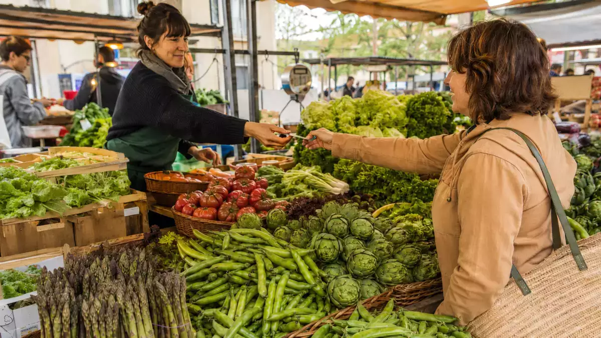Grüner Frühling: 10 kreative Rezepte mit Gemüse der Saison