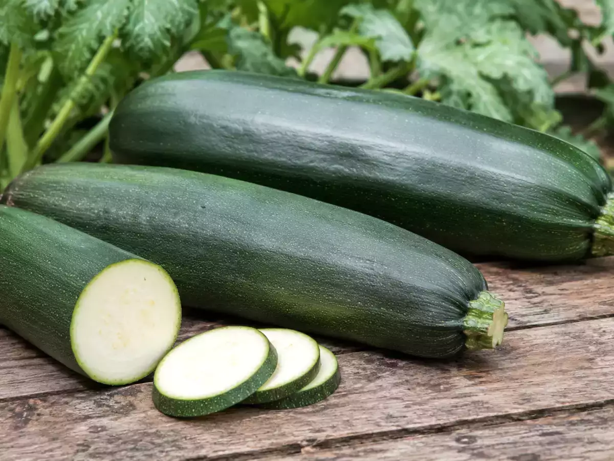 Zu große Zucchini: Kann man sie noch essen?
