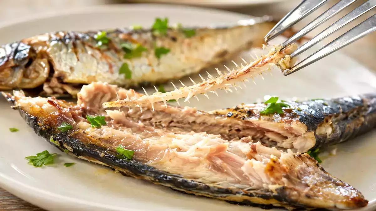 Man wirft den nährstoffreichsten Teil der Sardine weg, ohne zu ahnen, was man dabei verpasst