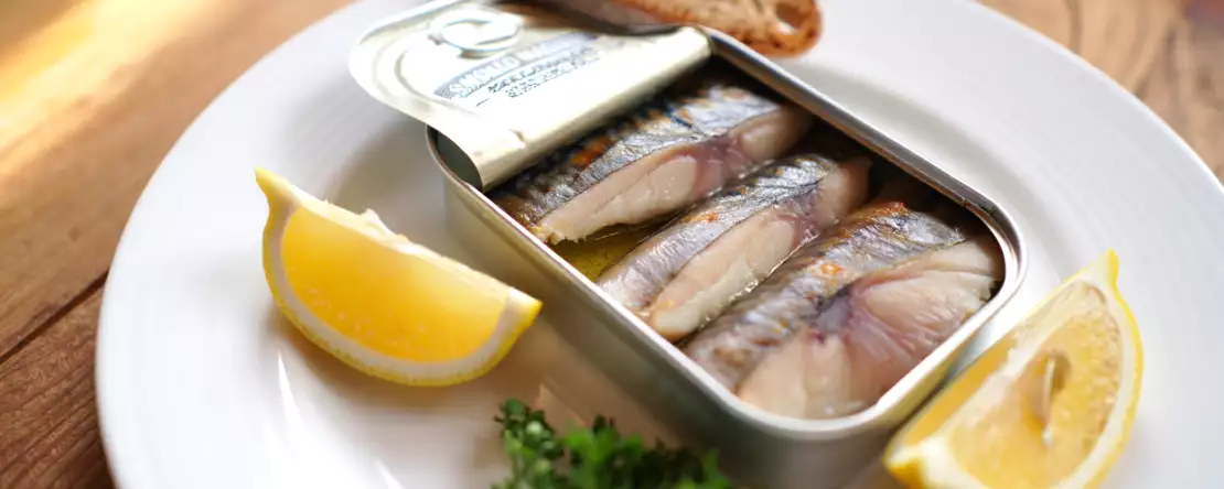 Ist Makrele aus der Dose gesund? Alle Vorteile auf einen Blick