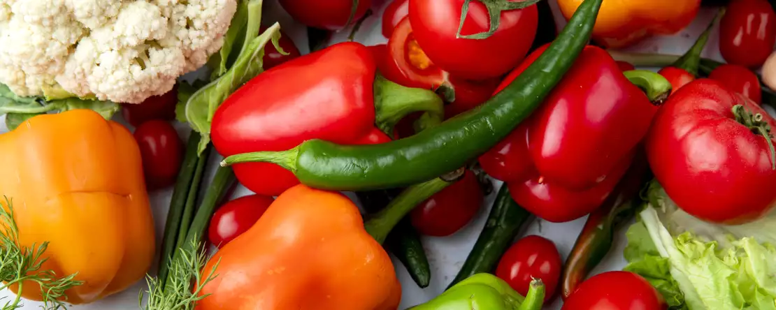 Ballaststoffe sind nicht gleich Ballaststoffe: Wie sich lösliche und unlösliche Ballaststoffe unterscheiden und was sie im Darm bewirken