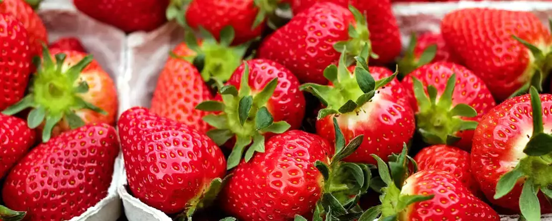 Dank dessen können Sie Ihre Erdbeeren länger aufbewahren!