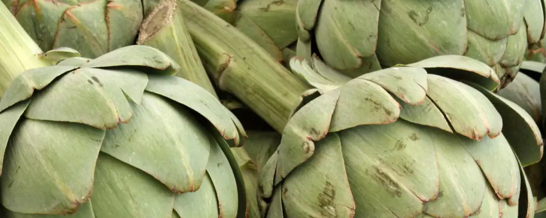 Wie man eine Artischocke schnell und ohne Fehler in der Mikrowelle gart