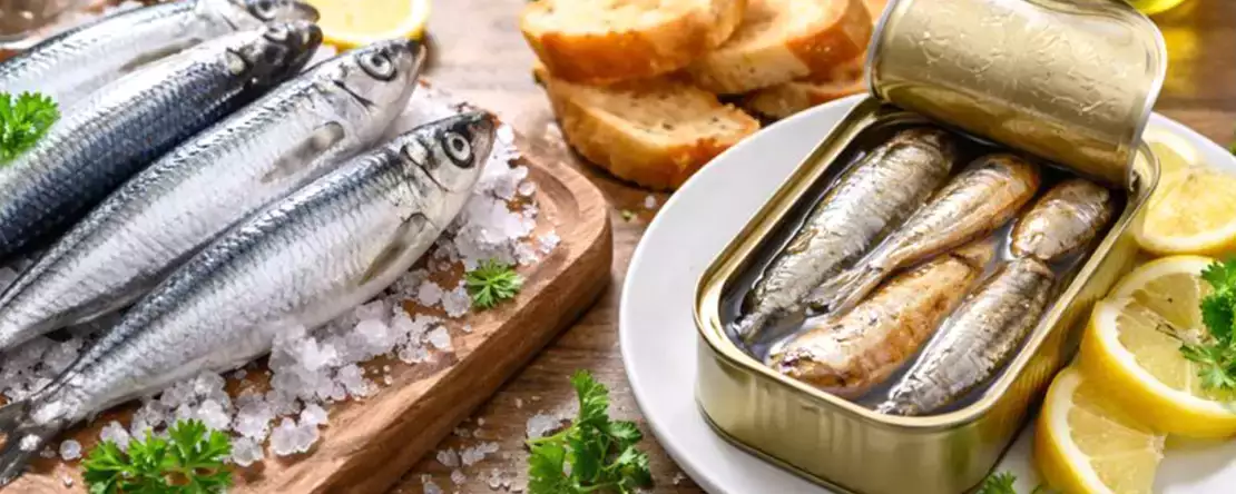 Frische Sardinen und Sardinenkonserven: Alles, was Sie wissen müssen, bevor Sie entscheiden, was auf Ihren Tisch kommt