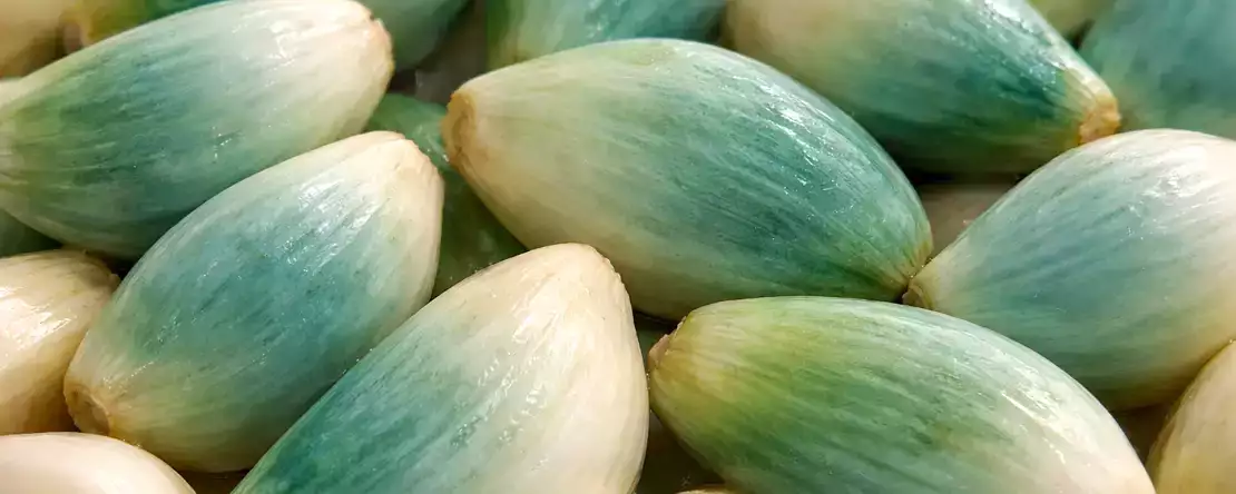 Grüner oder blauer Knoblauch in Ihrer Küche? Viele Menschen werfen ihn weg, ohne zu wissen, was er wirklich bedeutet
