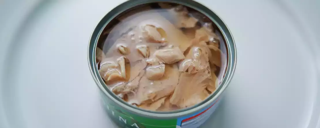 Im Supermarkt: Wie man Thunfisch mit geringerem Quecksilbergehalt erkennt und wie man sich am besten verhält
