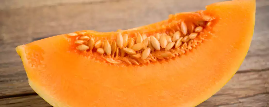 Sollte man die Kerne drin lassen, um eine bereits aufgeschnittene Melone aufzubewahren?