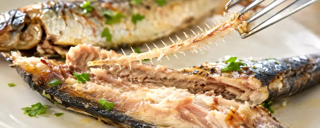Man wirft den nährstoffreichsten Teil der Sardine weg, ohne zu ahnen, was man dabei verpasst