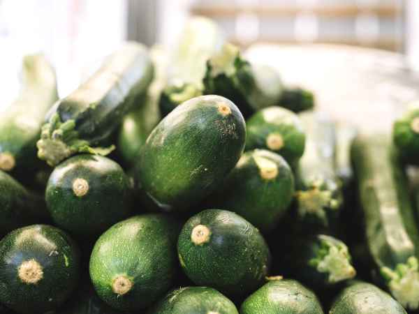 Bittere Zucchini? Entdecken Sie jetzt 5 todsichere Tricks, um Ihr Gericht perfekt zu machen!