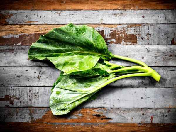 Dieses Gemüse enthält mehr Eisen als Spinat! Haben Sie es schon probiert?