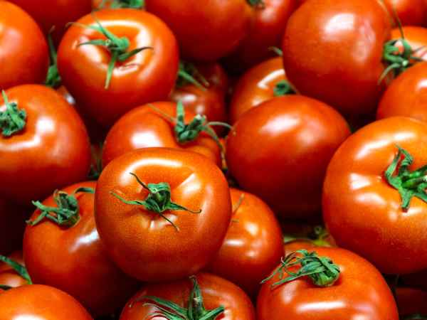 Halten sich Tomaten länger? Hier sind 5 Tipps, die wirklich funktionieren