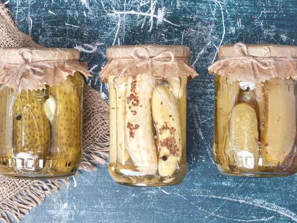 Kennen Sie die Einmachflüssigkeit? Sie ist nützlicher als sie aussieht