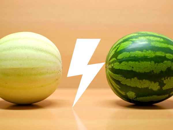 Melone vs. Wassermelone: Welche spendet mehr Feuchtigkeit?