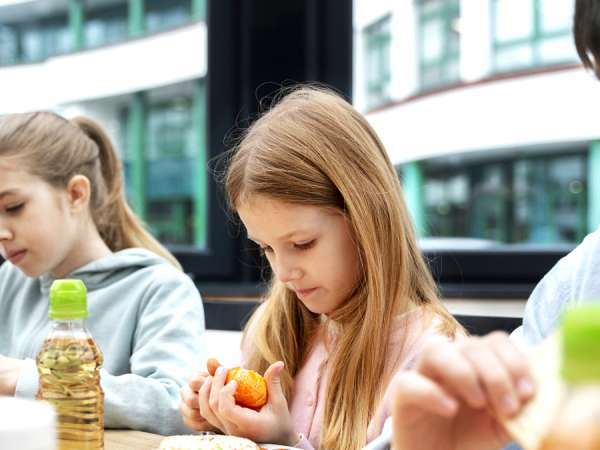 Der beliebteste Fisch auf den Schulmenüs, in Frankreich wegen seiner Toxizität verboten