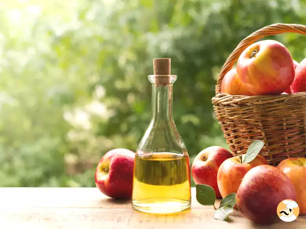 Diese Wunderzutat fördert den Gewichtsverlust!