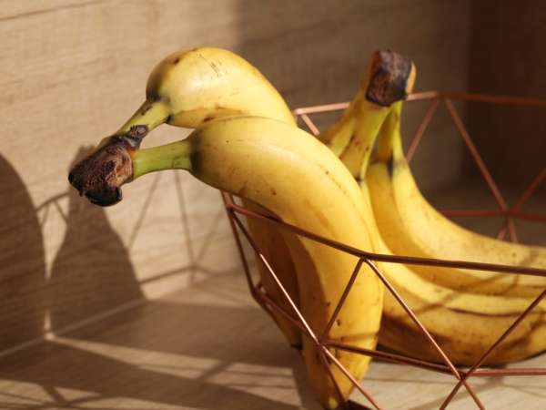 Sollten Sie Ihre Bananen wirklich im Kühlschrank aufbewahren - die klare Antwort
