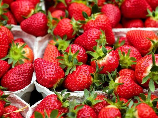 Dank dessen können Sie Ihre Erdbeeren länger aufbewahren!