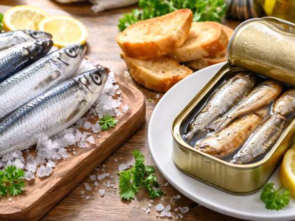 Frische Sardinen und Sardinenkonserven: Alles, was Sie wissen müssen, bevor Sie entscheiden, was auf Ihren Tisch kommt