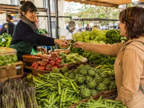 Grüner Frühling: 10 kreative Rezepte mit Gemüse der Saison
