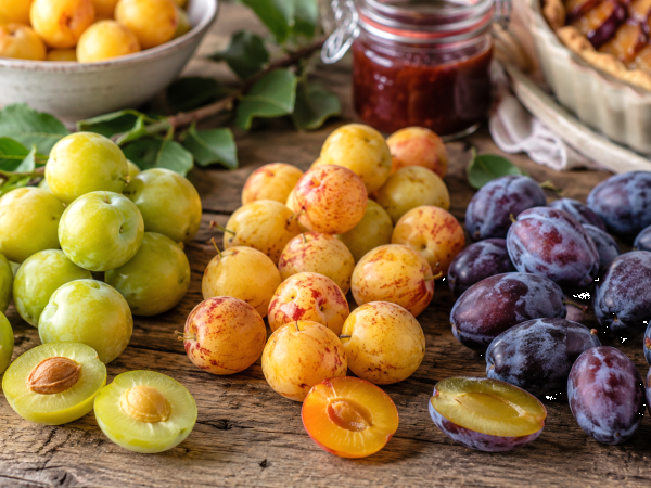 Reines-Claudes, Mirabellen, Quetschen: Welche Pflaumen sollte man je nach Rezept wählen?