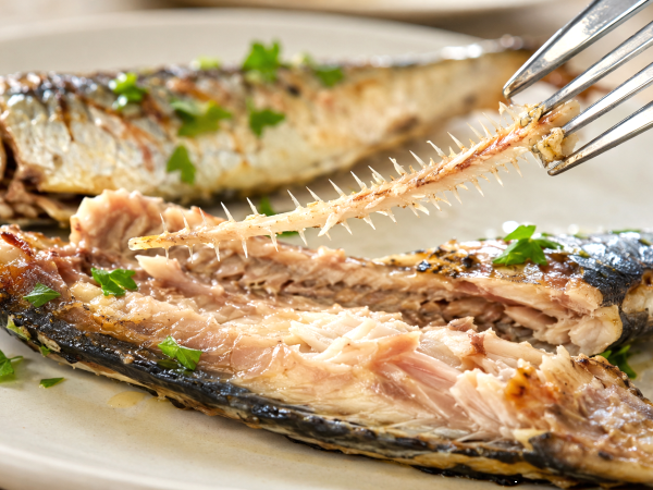 Man wirft den nährstoffreichsten Teil der Sardine weg, ohne zu ahnen, was man dabei verpasst