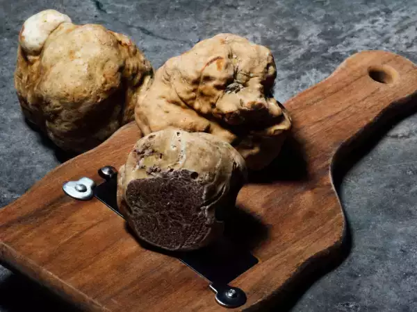 Frische Trüffel gekauft? So reinigen Sie sie, ohne ihr Aroma zu verlieren