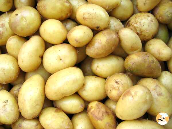 Eine Reise um die Welt in 6 kultigen Kartoffelrezepten