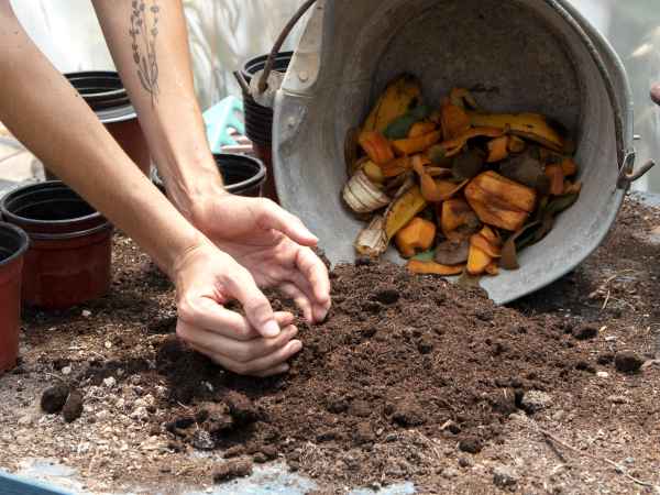 Diese 5 Lebensmittel gehören auf keinen Fall in den Komposter