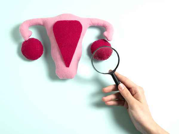 Endometriose und Ernährung: Schlüssel zu einem besseren Umgang mit den Symptomen