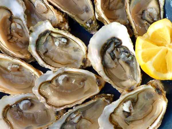 Wie öffnet man Austern einfach und sicher?