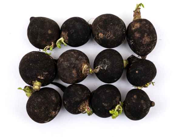 Das ist das kraftvolle Gemüse, das den Körper reinigt und der Leber hilft, Giftstoffe auszuscheiden!