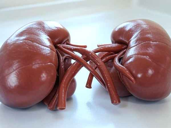 7 Tipps zur Vorbeugung schwerer Nierenprobleme. Finden Sie sie jetzt heraus, damit Sie gesund bleiben!