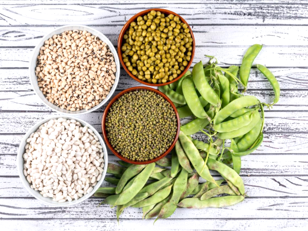 Verbessern Sie Ihre Stoffwechselgesundheit mit diesen 5 kraftvollen pflanzlichen Proteinen!