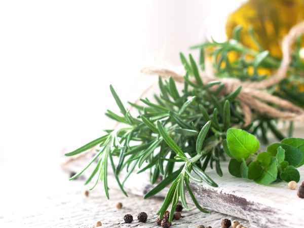 Überraschende Verwendungsmöglichkeiten von Rosmarin in der Küche und darüber hinaus