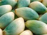 Artikel: Grüner oder blauer Knoblauch in Ihrer Küche? Viele Menschen werfen ihn weg, ohne zu wissen, was er wirklich bedeutet