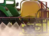 Artikel: Reicht es aus, Bio zu essen, um Cadmium zu vermeiden? Was Anses wirklich sagt (und warum die Debatte aufhorchen lässt)