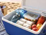Artikel: Wie Sie Ihre Kühltasche am Strand organisieren: Was gehört nach unten, was nach oben und was sollten Sie nicht mitnehmen?