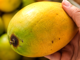 Artikel: Fast jeder wählt auf dem Markt die falschen Mangos aus und merkt den Fehler erst, wenn er zu Hause ist