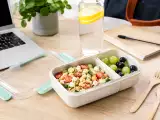 Artikel: Lunchbox für den Schulanfang: So vermeidest du starke Gerüche im Büro oder in der Schule