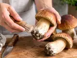 Artikel: Hast du gerade frische Steinpilze geputzt? Diese einfache Handlung solltest du vor dem Kochen unbedingt vermeiden