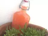 Rezept Sonne in der flasche: rhabarber-sirup mit ingwer