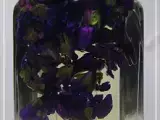 Rezept Kräuterkram: viola odorata