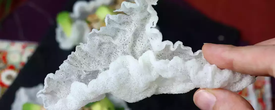 Wie mache ich chips aus reisblättern?