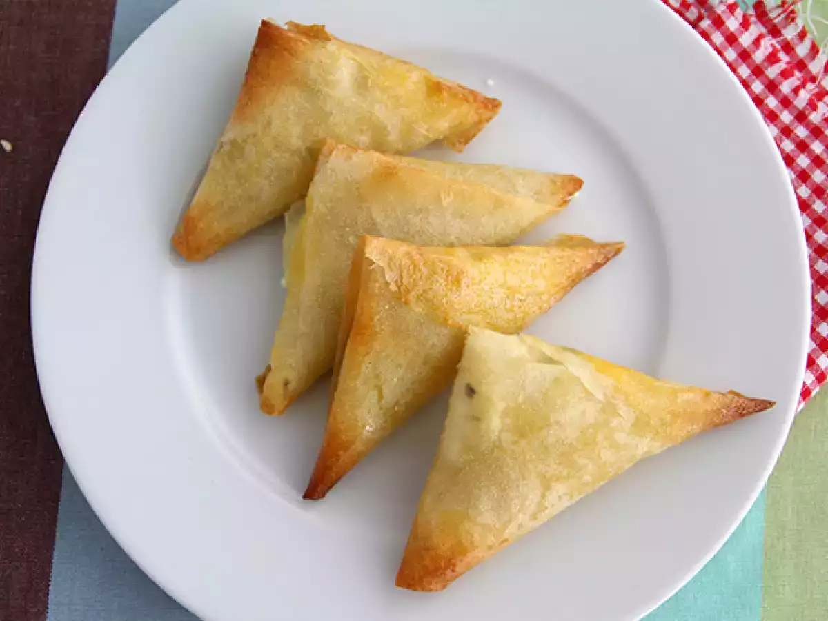 Rezept Samoussas nach rikakats-art