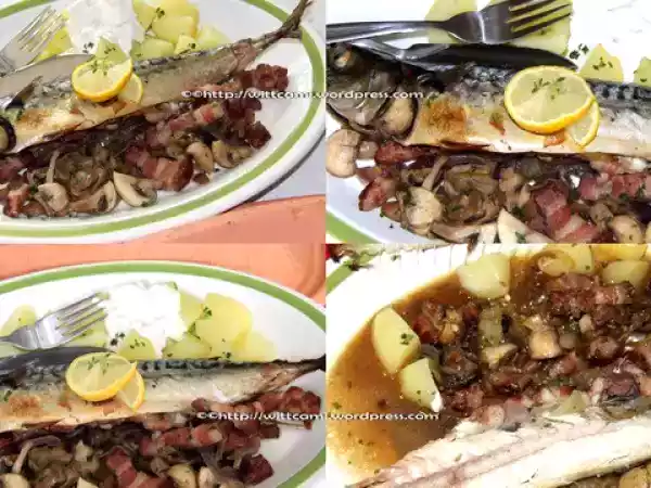 Rezept Makrelen mit kräuter-speck-füllung